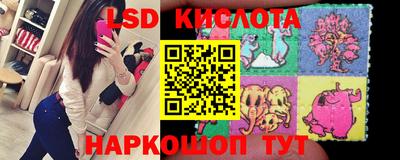 a pvp Камышлов