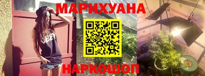 a pvp Камышлов