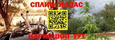 молекула духа Кандалакша