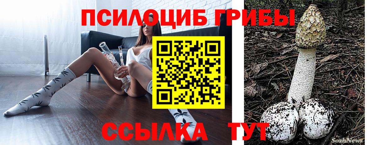 Галлюциногенные грибы Psilocybe Кропоткин