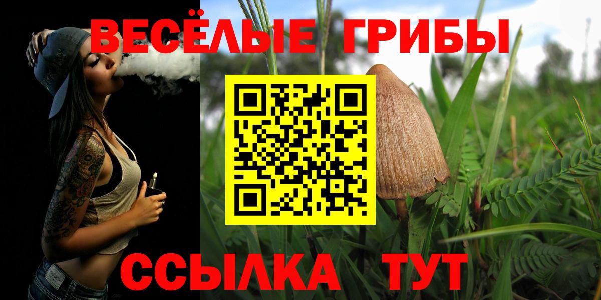 Псилоцибиновые грибы Cubensis  Вход с VPN  Кропоткин 
